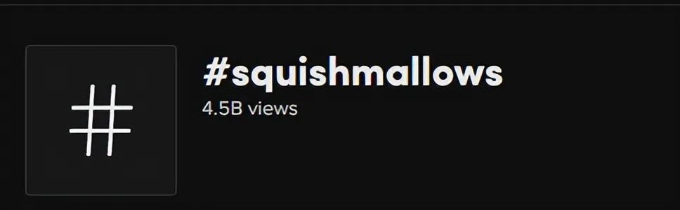 爆紅TikTok ！由一款抱枕掀起的玩具收藏潮