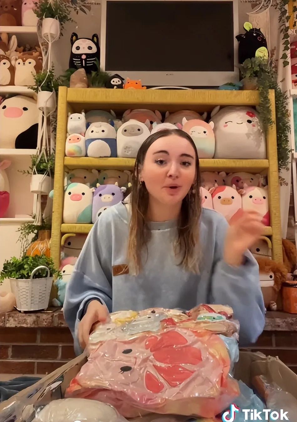 爆紅TikTok ！由一款抱枕掀起的玩具收藏潮