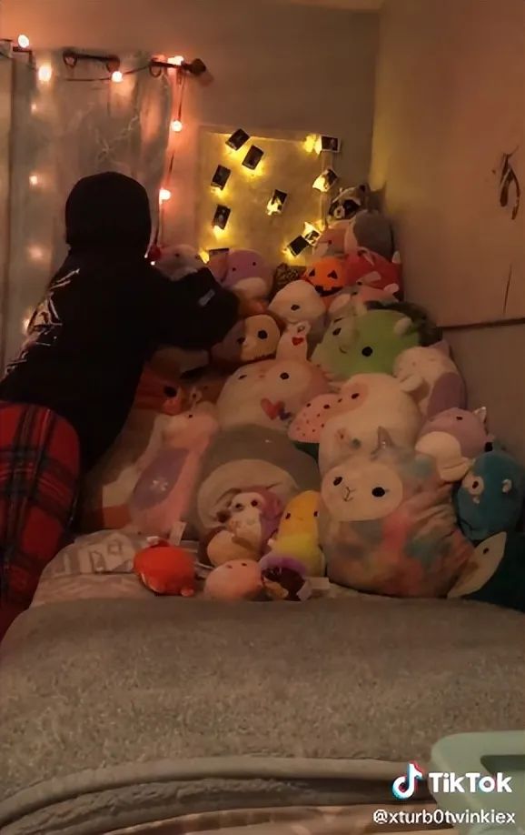 爆紅TikTok ！由一款抱枕掀起的玩具收藏潮