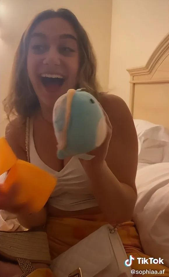 爆紅TikTok ！由一款抱枕掀起的玩具收藏潮