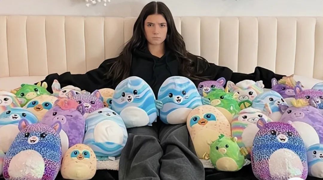 爆紅TikTok ！由一款抱枕掀起的玩具收藏潮