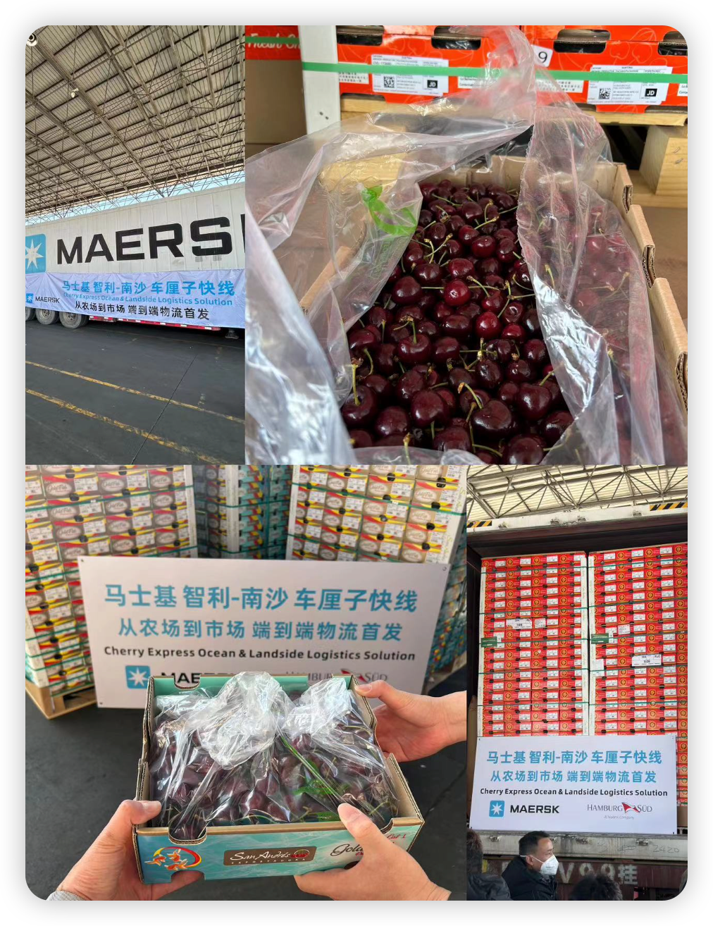 37000TEU車厘子，都去了哪個港 ？