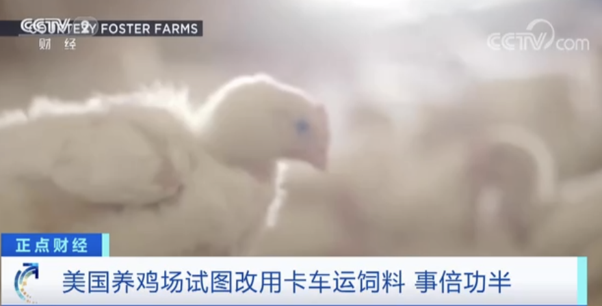 重磅突發(fā)！美國(guó)所有航班都已停飛！