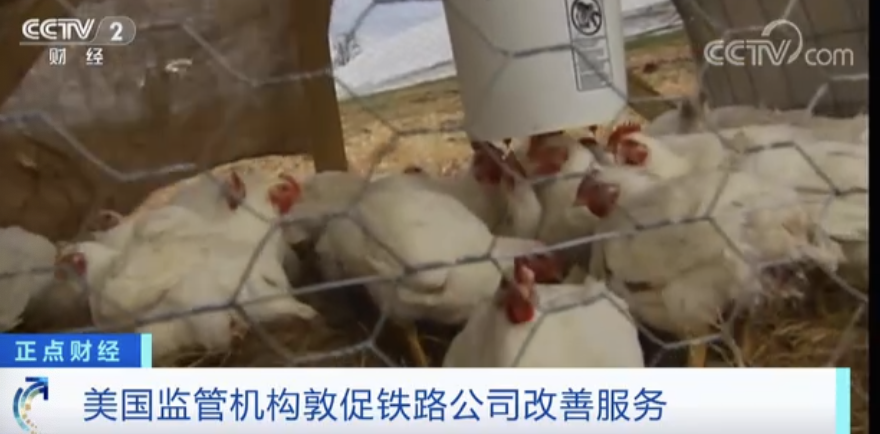 重磅突發(fā)！美國(guó)所有航班都已停飛！