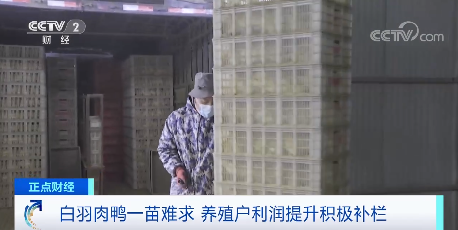 搶瘋了！漲價(jià)超300%，還得排一個(gè)月隊(duì)！