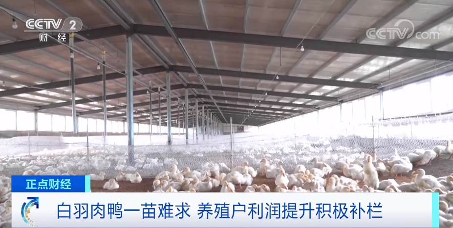 搶瘋了！漲價(jià)超300%，還得排一個(gè)月隊(duì)！