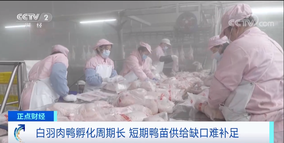 搶瘋了！漲價(jià)超300%，還得排一個(gè)月隊(duì)！