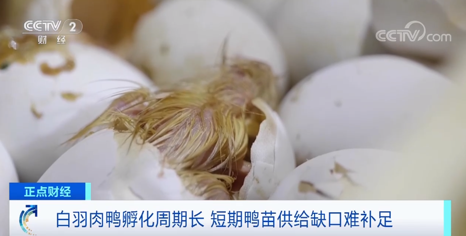 搶瘋了！漲價(jià)超300%，還得排一個(gè)月隊(duì)！