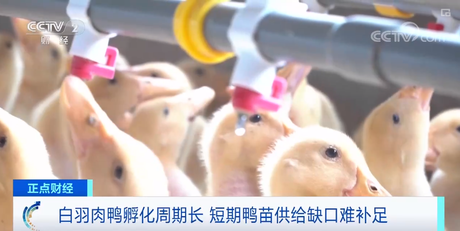 搶瘋了！漲價(jià)超300%，還得排一個(gè)月隊(duì)！