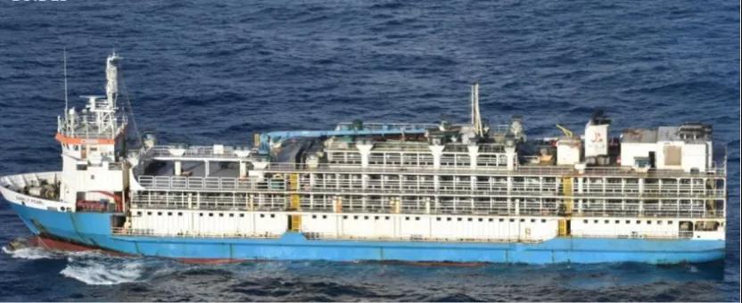 AMSA宣布對離澳牲畜船開展集中大檢查