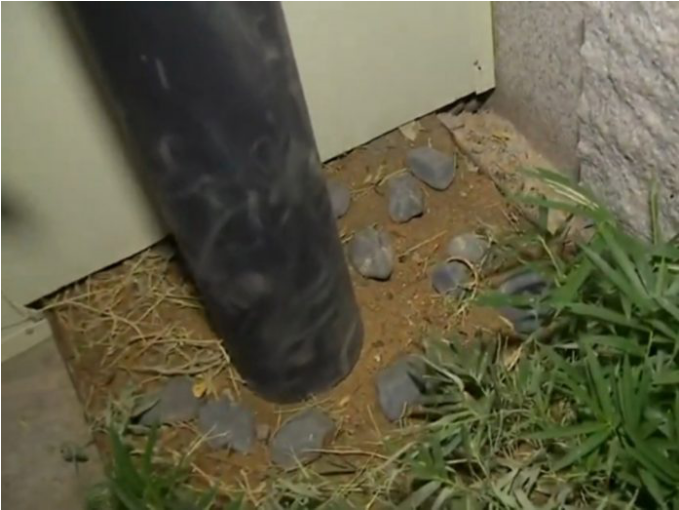 警示！一印尼船員隔離期“大逃亡”，被判8個(gè)月！