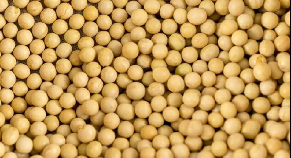 中國去年糧食進(jìn)口1.4億噸 成國際干散貨市場(chǎng)新亮點(diǎn)