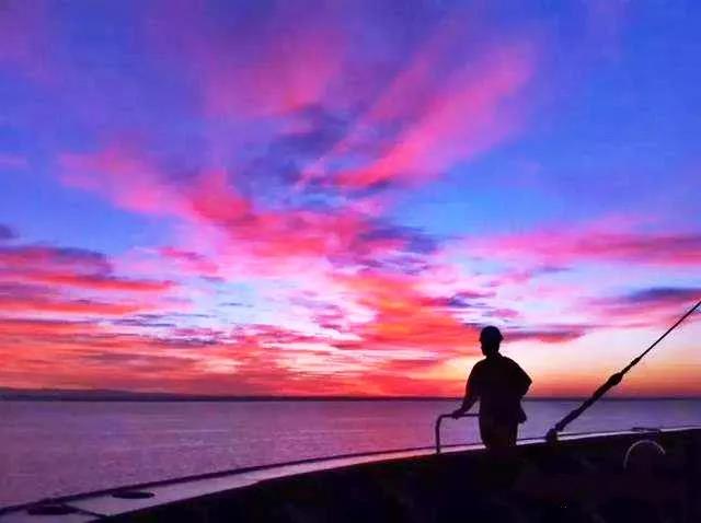 馬士基、中遠海運、達飛、地中海航運都簽署的海王星宣言，說了什么？