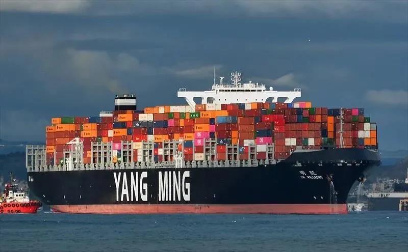 船司暴賺！美森4季度利潤預(yù)翻5倍；陽明首次全航線獲利；長榮12月營收增長58.8%！