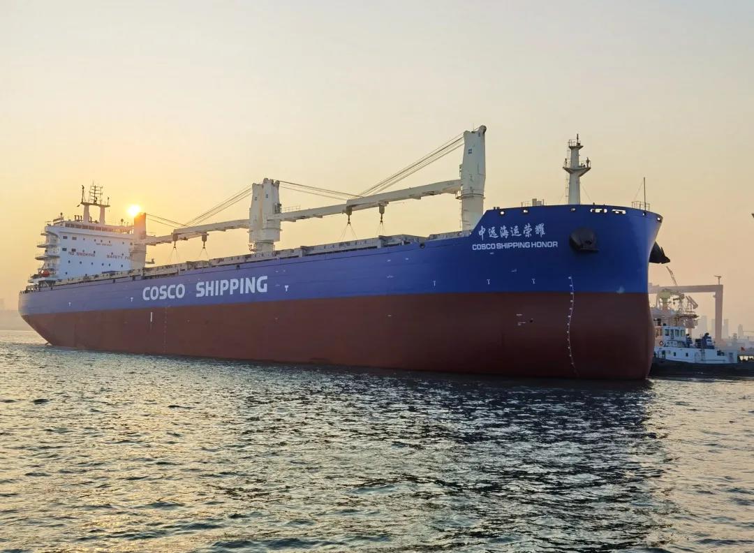 8631美元/TEU！中遠海運特運改造紙漿船裝運集裝箱！