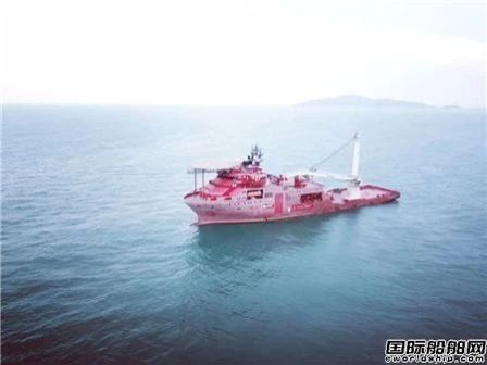 盤點(diǎn)2020年中國船廠建造最有特色的10艘船