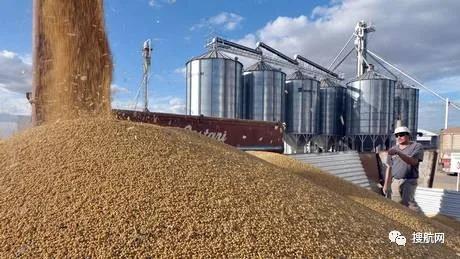 阿根廷碼頭罷工，162艘船裝運(yùn)受影響！