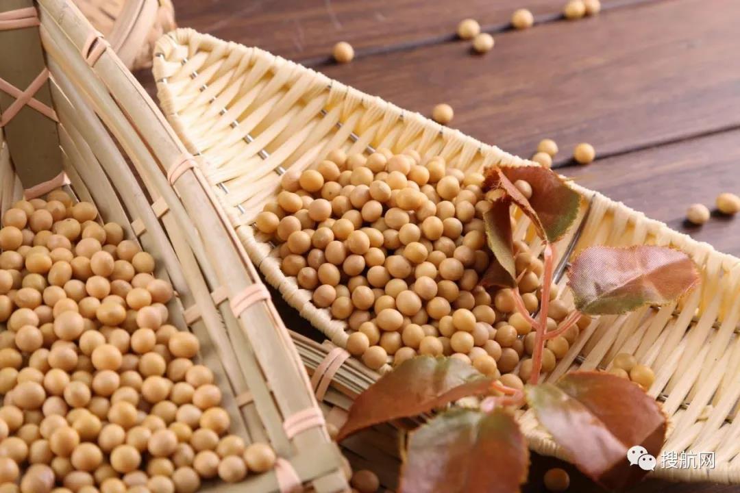 阿根廷碼頭罷工，162艘船裝運(yùn)受影響！