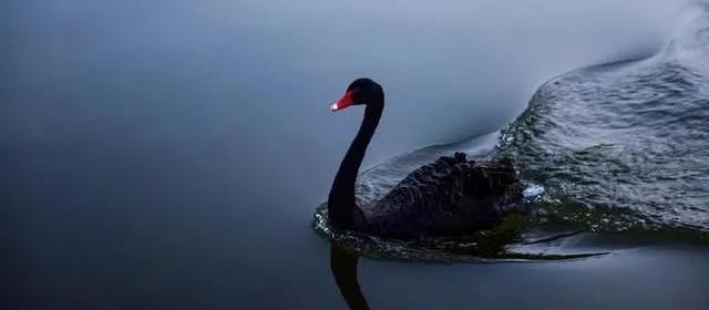 人民幣匯率升至6？渣打預(yù)測(cè)2021年8大市場(chǎng)“黑天鵝”！