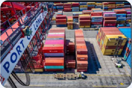 最新！美國目的港快速提還柜攻略！