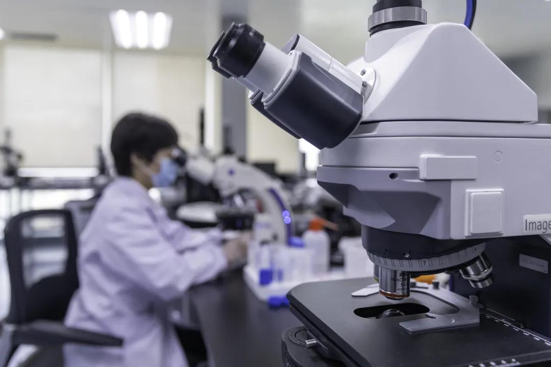 解讀 | 關(guān)于墨西哥高粱輸華植物檢疫要求議定書