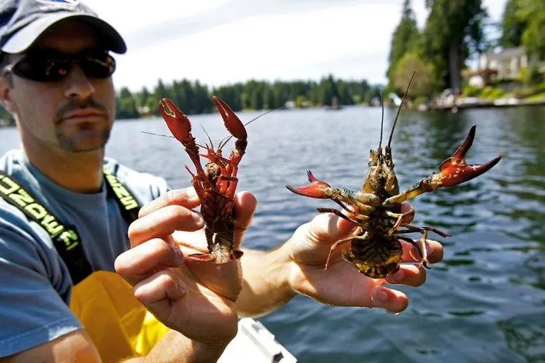 中澳貿(mào)易摩擦再升級(jí)！澳洲：要把中國(guó)告上WTO！中國(guó)：限制澳多個(gè)產(chǎn)業(yè)的進(jìn)口！