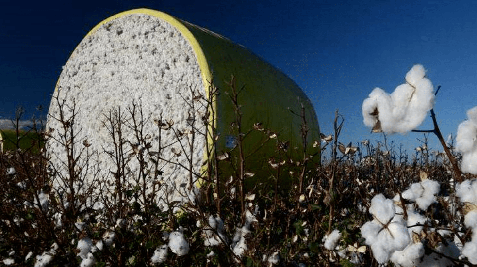 中澳貿易關系惡化！中國叫停澳洲煤炭進口，限制澳棉配額，鐵礦石進口明顯下降！